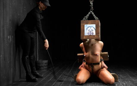 Device Bondage are pleased to offer you a free pictures featuring Ashli Orion xxx gallery 278408