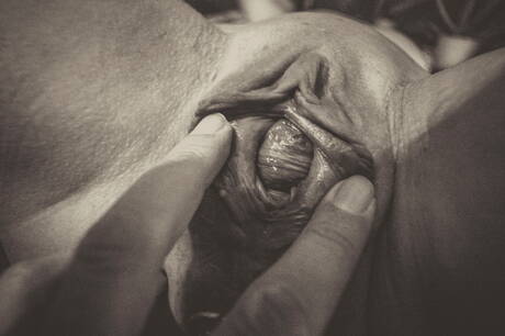 Sklavin are excited to present you with xxx gallery showcasing horny babe in masturbating with sex toy